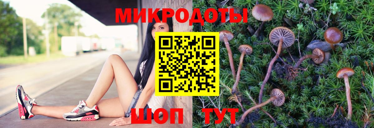 Галлюциногенные грибы Psilocybine cubensis Вольск